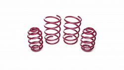 vogtland sport lowering springs